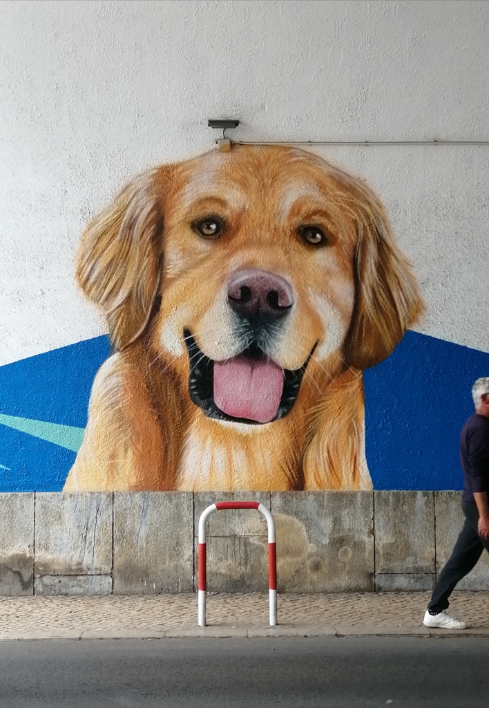 graffiti-arte-urbana-serviços-street-art-lisboa